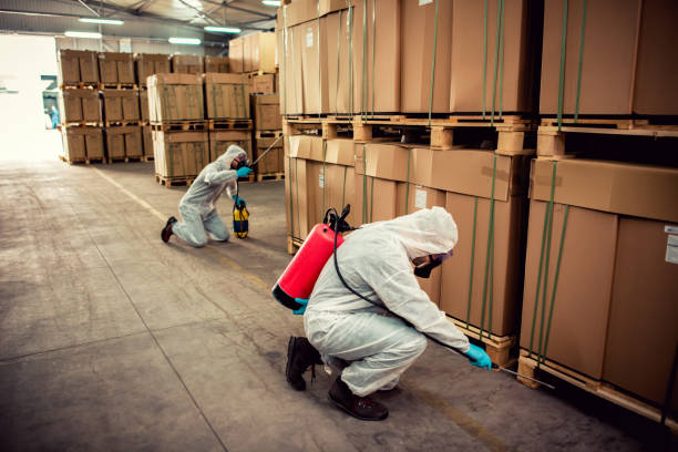 Best Local Pest Control Services  in Telford, TN