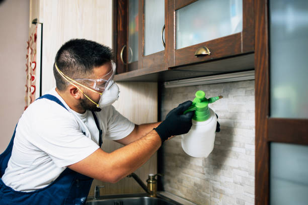 Best Insect Control  in Telford, TN