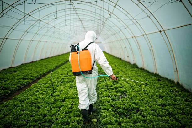 Best Pest Removal Services  in Telford, TN