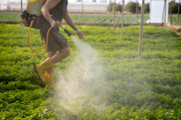 Best Pest Control for Businesses  in Telford, TN